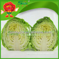 green cabbage for sale/fresh cabbage grade A